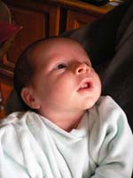 20080130_123750_ambre_curiol