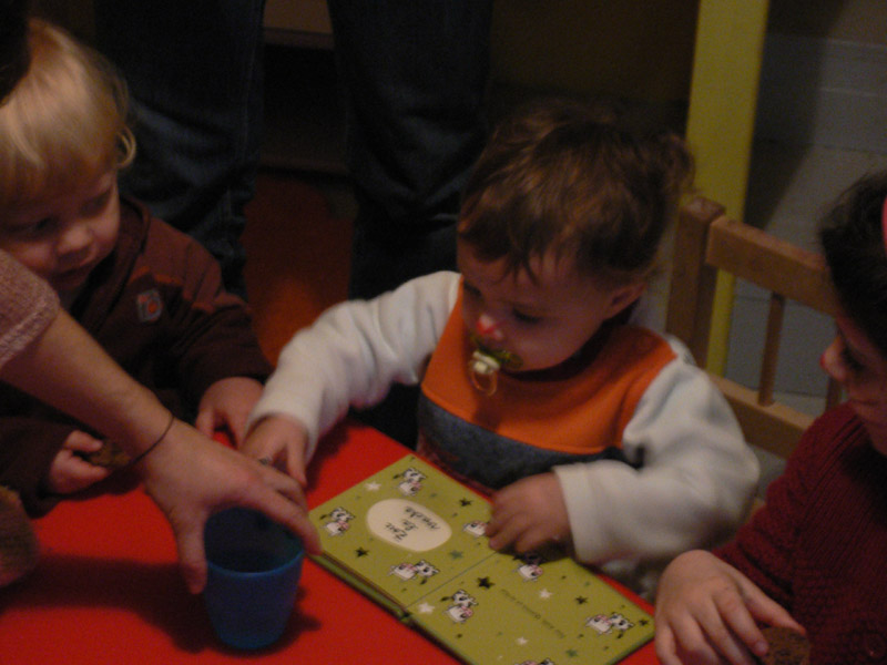 20080212_103300_ambre_zebre