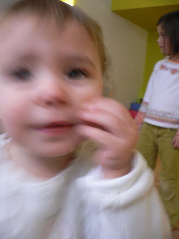 20080215_114230_ambre_zebre