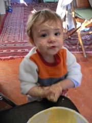 20080212_170038_ambre_zebre